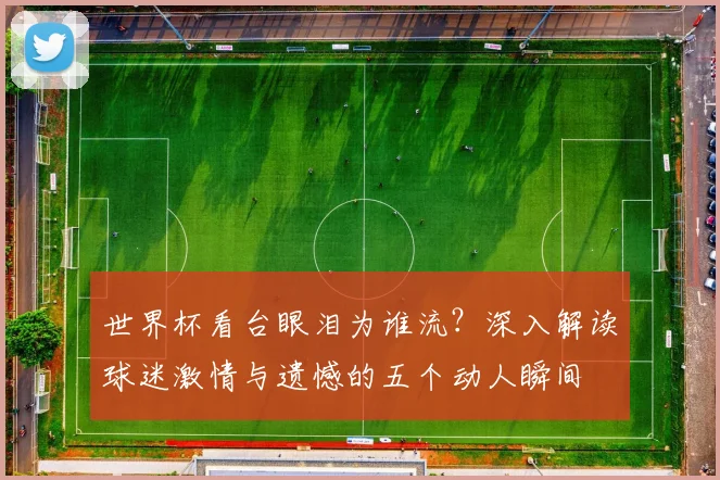 世界杯看台眼泪为谁流？深入解读球迷激情与遗憾的五个动人瞬间